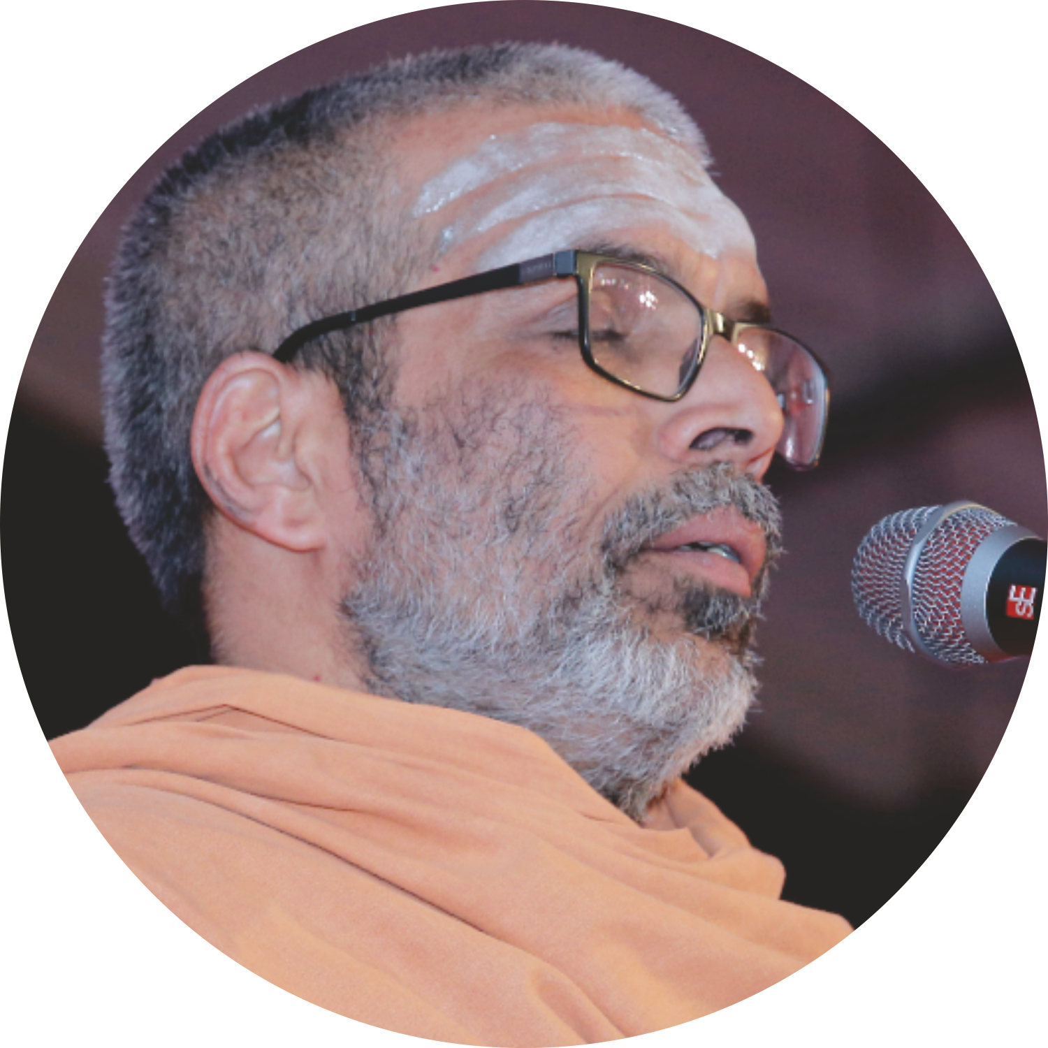 Swami Chidanandapuri