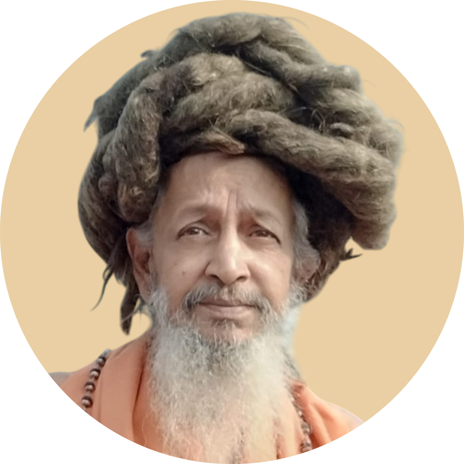 Swami Brahmapadananda Saraswathi