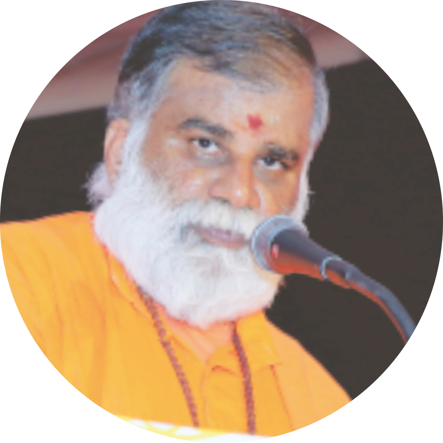 Swami Krishnathmananda Saraswathi