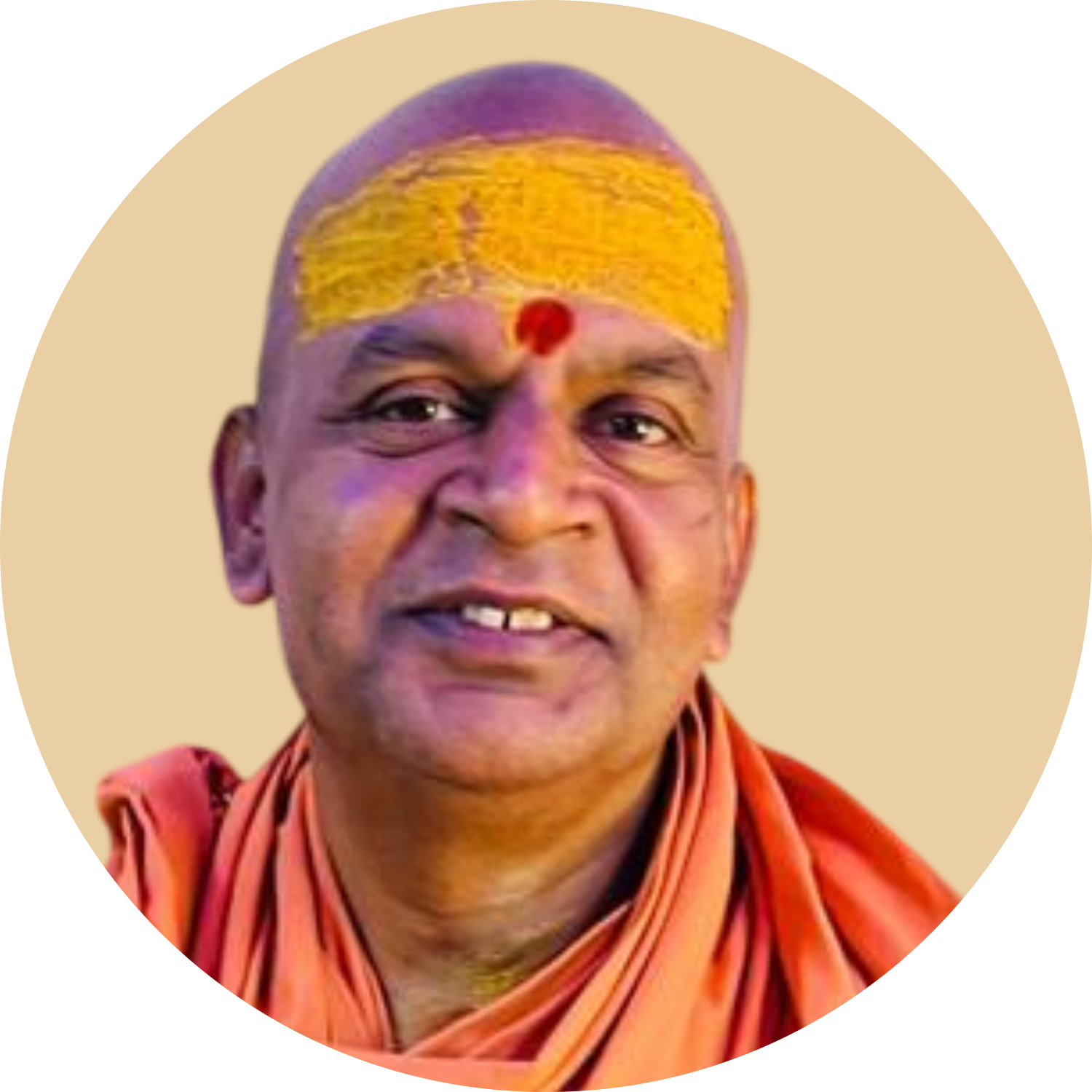Swami Sanmayanandha Saraswathi