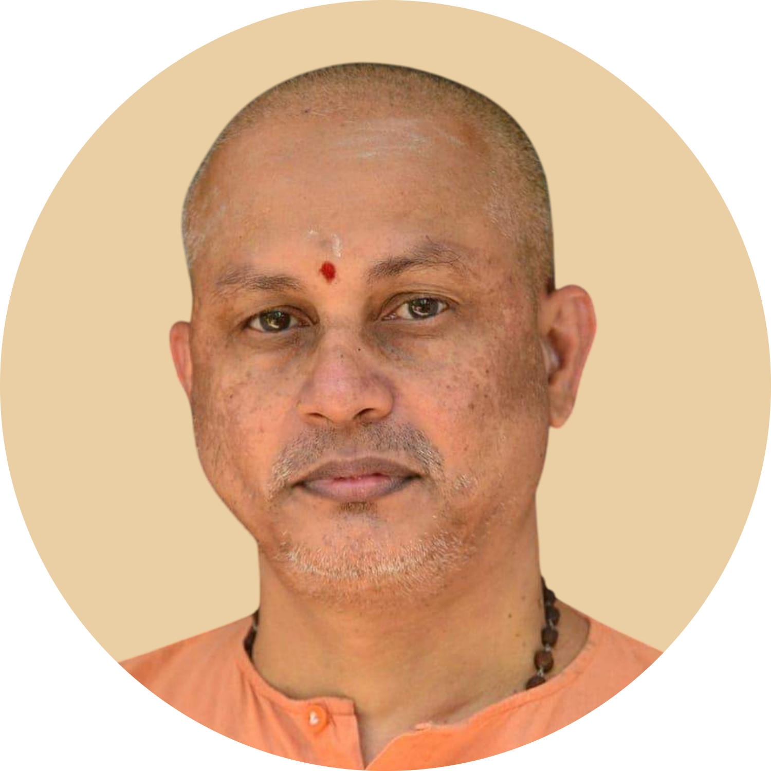 Swami Swaroopanandha Saraswathi