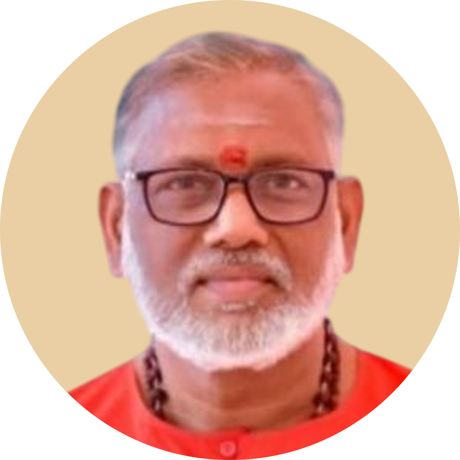 Swami Vedamruthanandhapuri