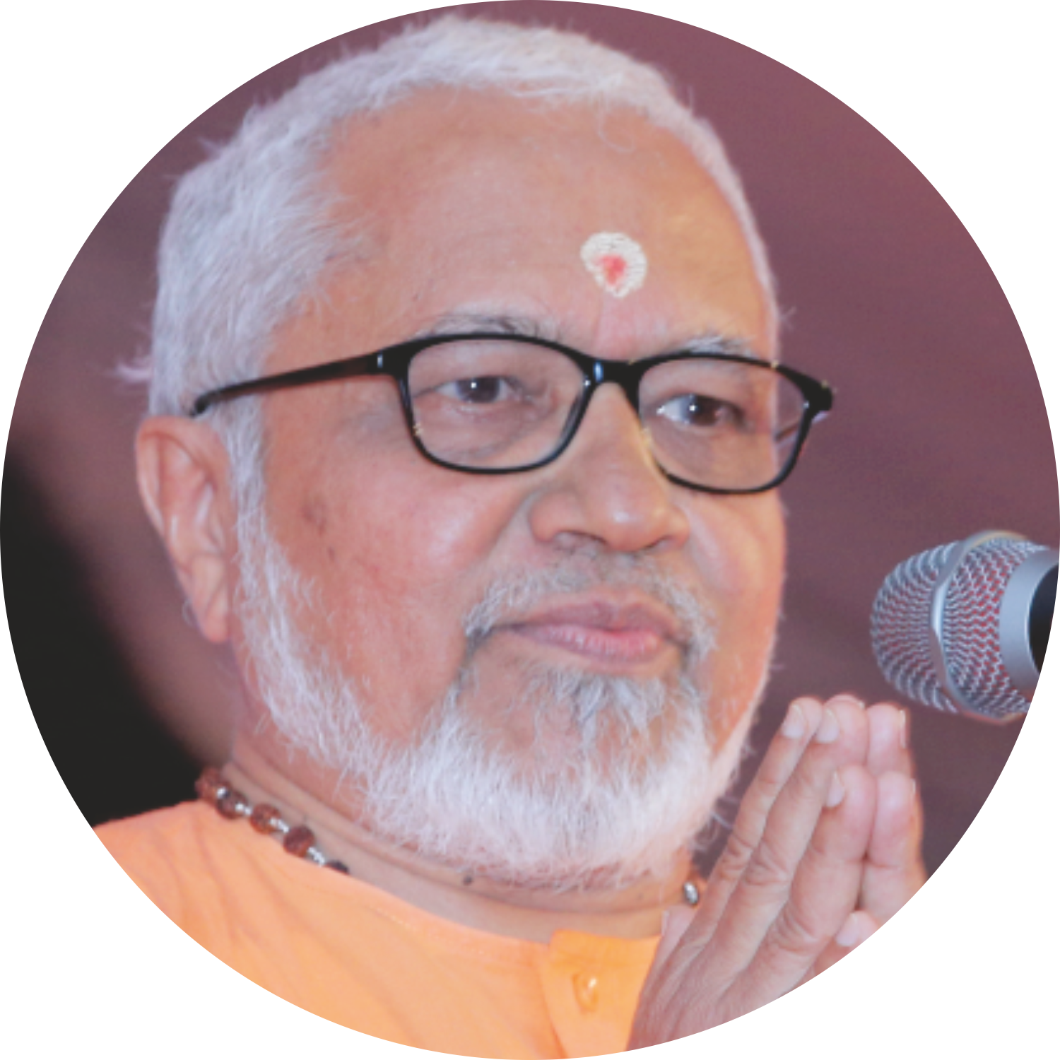 Swami Viviktananda Swaraswathi